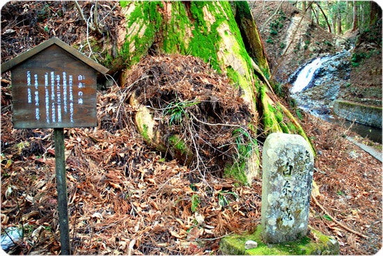 ひばらさんの栃木探訪-ひばらさんの栃木探訪　滝尾神社