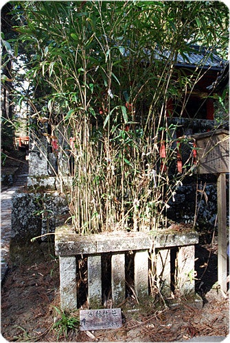 ひばらさんの栃木探訪-ひばらさんの栃木探訪　滝尾神社