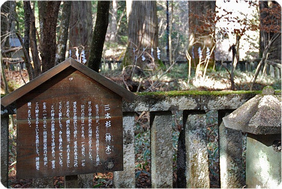 ひばらさんの栃木探訪-ひばらさんの栃木探訪　滝尾神社