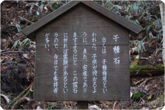 ひばらさんの栃木探訪-ひばらさんの栃木探訪　滝尾神社