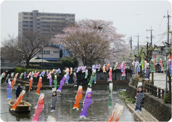 ひばらさんの栃木探訪-ひばらさんの栃木探訪　栃木市