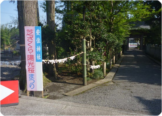 ひばらさんの栃木探訪-ひばらさんの栃木探訪　高根沢