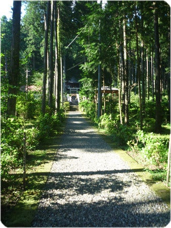 ひばらさんの栃木探訪-ひばらさんの栃木探訪　大室たかお神社