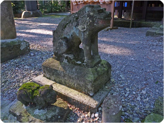 ひばらさんの栃木探訪-ひばらさんの栃木探訪　大室たかお神社