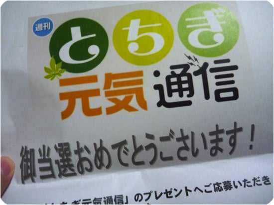 ひばらさんの栃木探訪-ひばらさんの栃木探訪