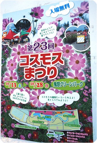 ひばらさんの栃木探訪-ひばらさんの栃木探訪　高根沢　コスモス祭り