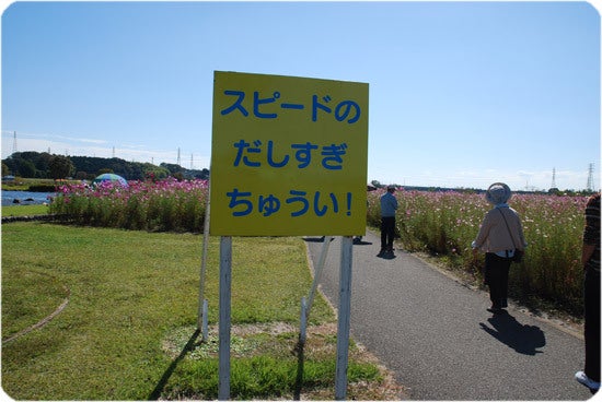 ひばらさんの栃木探訪-ひばらさんの栃木探訪　高根沢　コスモス祭り