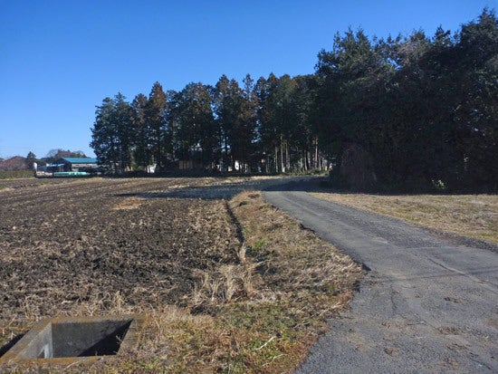 ひばらさんの栃木探訪-ひばらさんの栃木探訪　津島神社