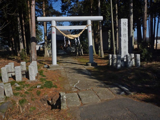 ひばらさんの栃木探訪-ひばらさんの栃木探訪　津島神社