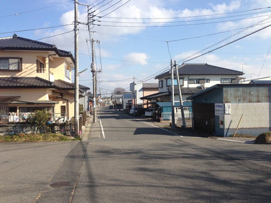 ひばらさんの栃木探訪-ひばらさんの栃木探訪　蒲須坂　コスモス