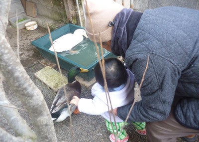 ひばらさんの栃木探訪-ひばらさんの栃木探訪　鹿沼