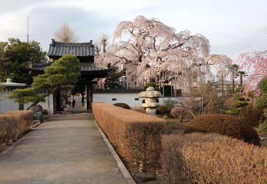 ひばらさんの栃木探訪-ひばらさんの栃木探訪　広琳寺