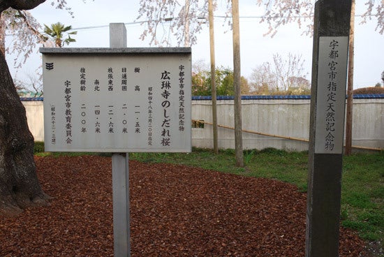 ひばらさんの栃木探訪-ひばらさんの栃木探訪　広琳寺