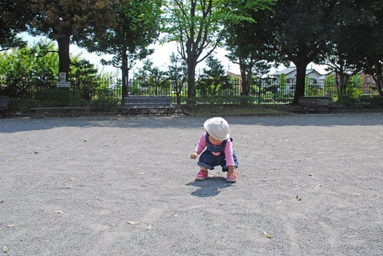 ひばらさんの栃木探訪-ひばらさんの栃木探訪　県立博物館