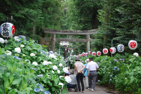 ひばらさんの栃木探訪-ひばらさんの栃木探訪　磯山神社