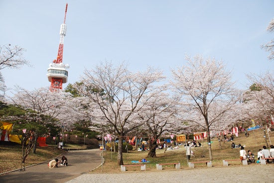 ひばらさんの栃木探訪-ひばらさんの栃木探訪　八幡山公園