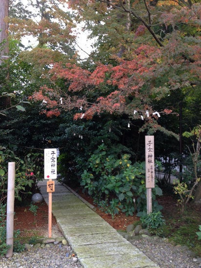 ひばらさんの栃木探訪-ひばらさんの栃木探訪　安住神社