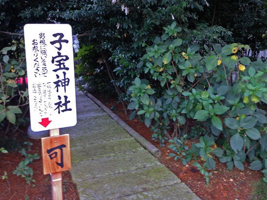 ひばらさんの栃木探訪-ひばらさんの栃木探訪　安住神社