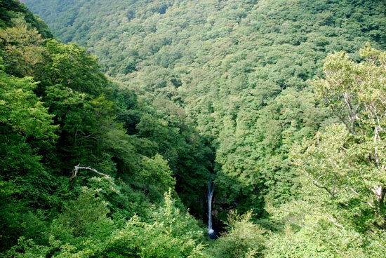 ひばらさん　駒止の滝