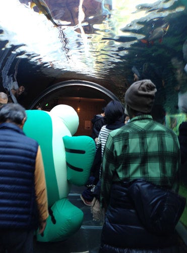 ひばらさんの栃木探訪　なかがわ水遊園