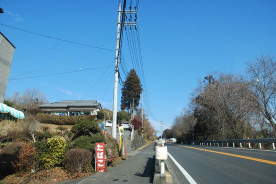 ひばらさんの栃木探訪　コスモス