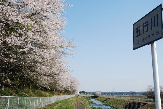 ひばらさん　高根沢町