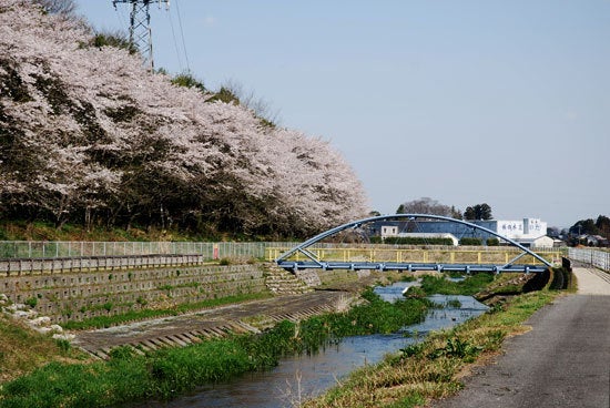 ひばらさん　高根沢町