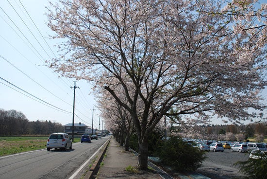 ひばらさん　高根沢町