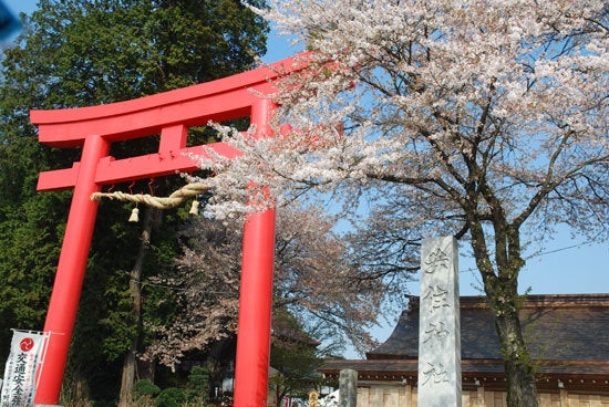 ひばらさん　高根沢町