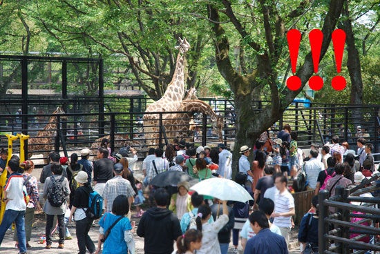 ひばらさん　宇都宮動物園