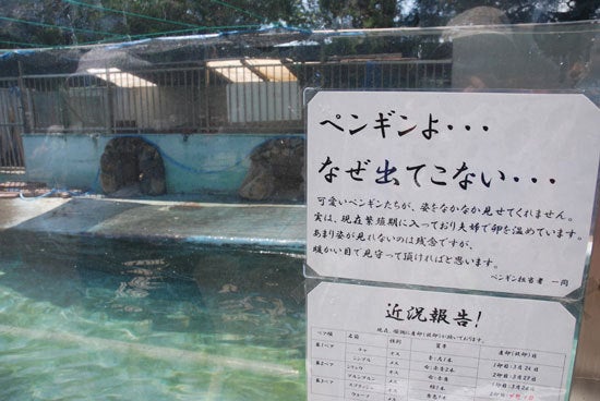 ひばらさん　宇都宮動物園