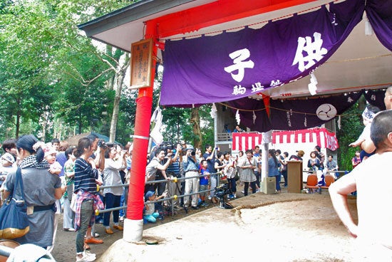 ひばらさんの栃木探訪　生子神社