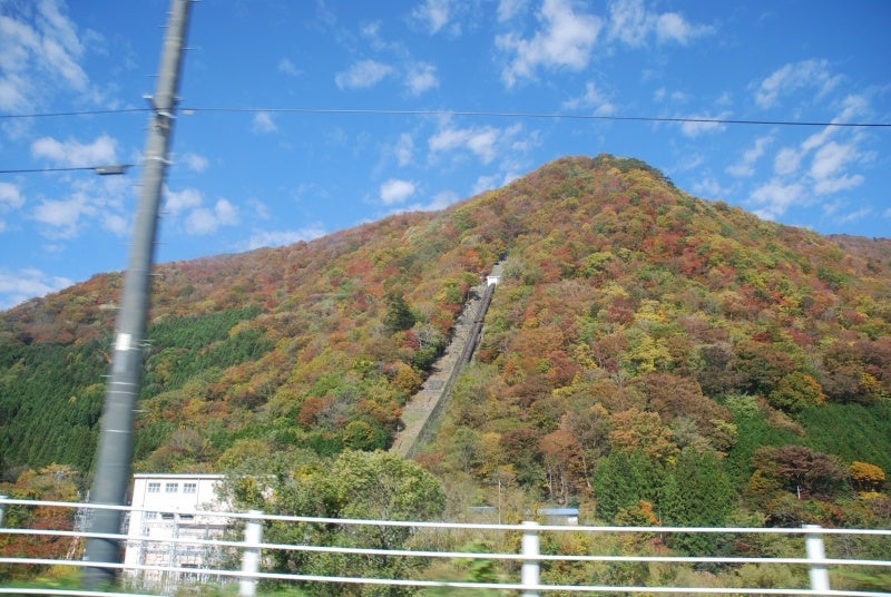 ひばらさん