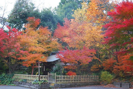 ひばらさん　鬼怒川温泉