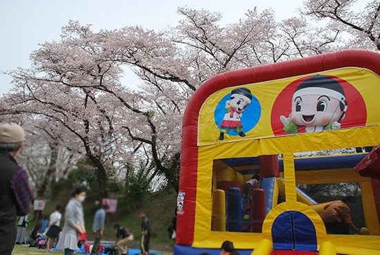 ひばらさん　大田原　桜